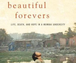 Behind the Beautiful Forevers (2012)